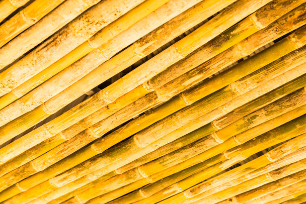 Bambusová tyčinka pro dekoraci, Thajsko. - Fotografie, Obrázek