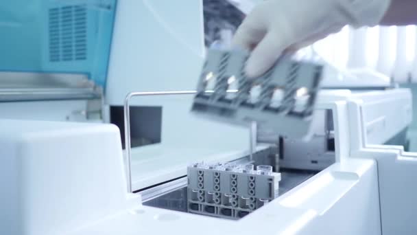 Laboratoriossa lääketieteellinen työntekijä asentaa koeputkia, joissa on verinäytteitä ja virtsaa muodossa. Lääketieteelliset testit. Kliininen diagnostiikka - Materiaali, video