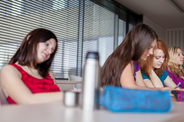 Estudantes em uma sala de aula durante a aula
 - Foto, Imagem