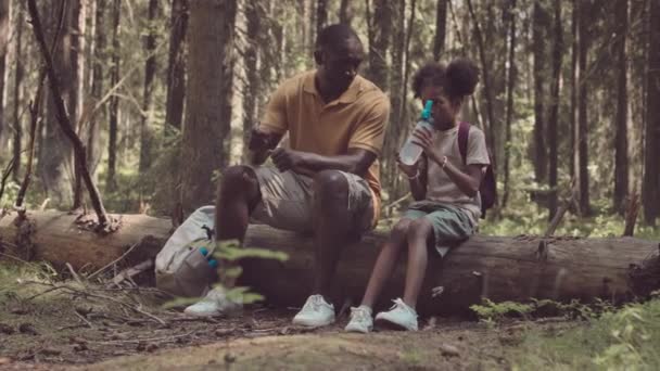 Slowmo of Homme noir avec sa fille de 8 ans assise sur un tronc d'arbre en forêt pendant une randonnée estivale - Séquence, vidéo