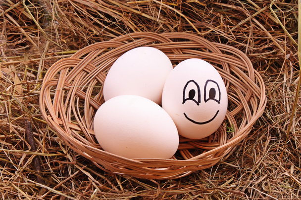 Eggs in hay - Foto, afbeelding