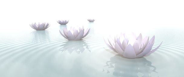 Zen Flowers on water in widescreen - Photo, Image