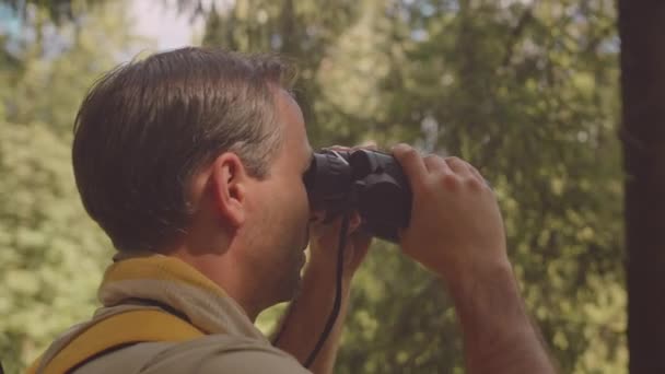 Volwassen Kaukasische mannelijke scouter wandelen en kamperen in het zomerwoud, verkenningsgebied met verrekijker - Video