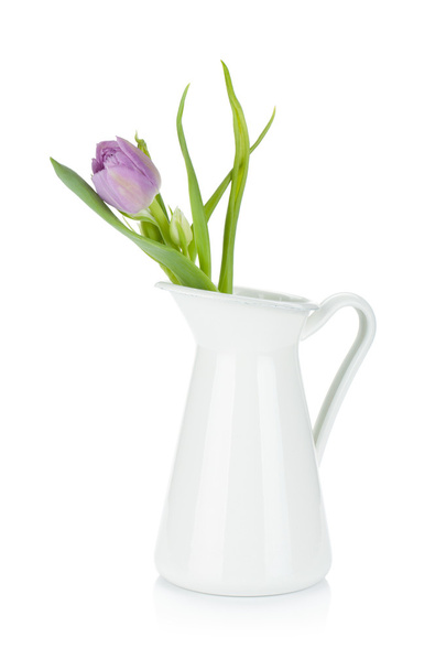 Pink tulip in metal pitcher - 写真・画像