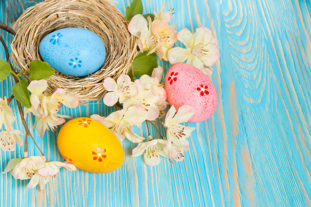Yuvada Paskalya yumurtası - Fotoğraf, Görsel