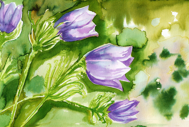 avó, ilustração aquarela retratando flores da primavera no prado
 - Foto, Imagem