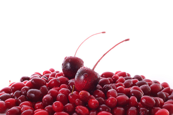 Cherry and cranberries on white background - 写真・画像