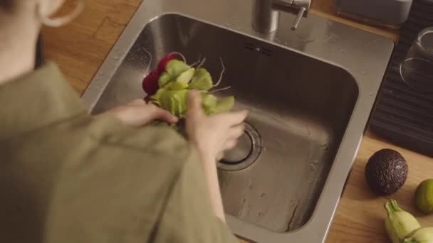 Nuoren kaukasialaisen naisen olkapään yli, joka pesee retiisiä, sieniä ja muita vihanneksia keittiössä tiskialtaassa kokkauksen aikana - Materiaali, video