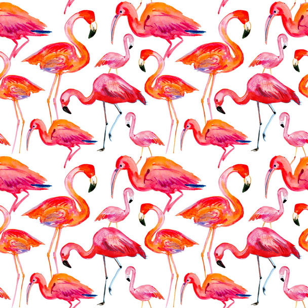 Pattern with watercolor flamingos - Photo, Image