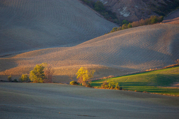 Роллінгові ферми в Тоскані. Прекрасне світло заходу сонця. - Фото, зображення