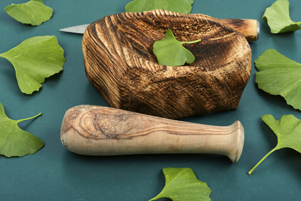 Hojas verdes frescas hojas de ginkgo biloba y mortero, medicina tradicional china. Ingrediente natural para medicina alternativa - Foto, imagen