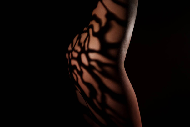 Světlo na štíhlé nahé tělo ženy. - Fotografie, Obrázek