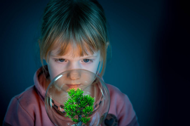 Meraklı çocuk ampuldeki bir ağaca bakıyor. Yeşil enerjinin sembolü. - Fotoğraf, Görsel