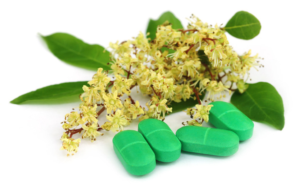 Hennablätter mit Blüten und Tabletten - Foto, Bild