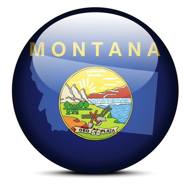 Mapa no botão de bandeira de USA Montana State
 - Vetor, Imagem