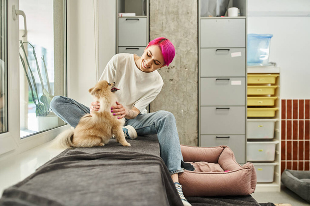 vidám női kutya sitter petting imádnivaló pomeranian spitz kényelmes kisállat hotel, kutyus óvoda - Fotó, kép