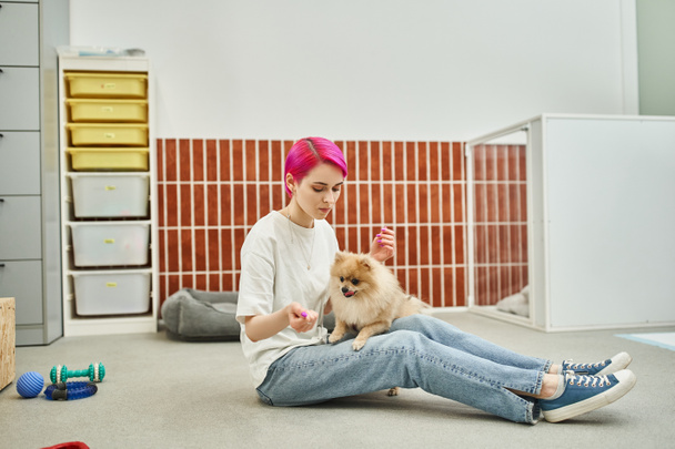 stylish dog sitter sitting on floor near toys and training playful pomeranian spitz in pet hotel - Fotografie, Obrázek