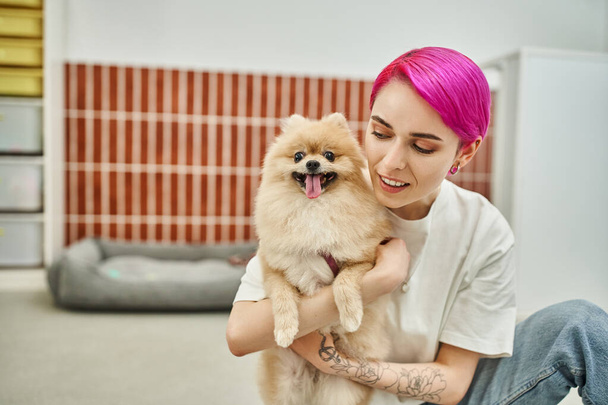 caring dog sitter embracing adorable pomeranian spitz in cozy pet hotel, pet-friendly concept - Photo, Image