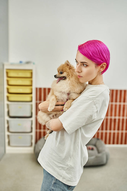 Aufmerksame Tierpflegerin mit lila Haaren hält Pommernspitz in der Hand und schaut im Hundehotel weg - Foto, Bild
