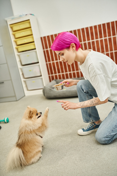 Fütterungszeit im Tierhotel, lila-haarige Tiersitter mit einer Schüssel Trockenfutter, die dem Hund das Sitzkommando gibt - Foto, Bild