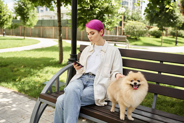 donna dai capelli viola rete su smartphone mentre riposava sulla panchina del parco vicino spitz carino pomerania - Foto, immagini