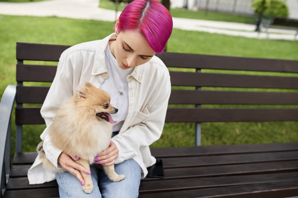 woman with trendy hairstyle sitting on bench in park with adorable pomeranian spitz, dog lover - Фото, изображение