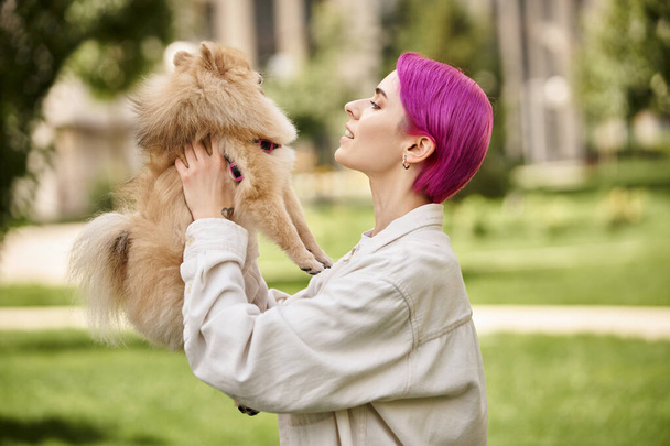 boční pohled na veselou ženu s fialovými vlasy držení nádherné pomeranian spitz v rukou venku - Fotografie, Obrázek