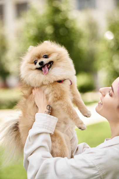 vreugdevolle pomeranian spitz steken uit tong in handen van lachende vrouwelijke eigenaar, doggy geluk - Foto, afbeelding