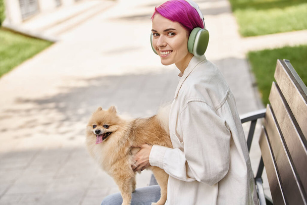 zachwycona kobieta z fioletowymi włosami siedząca w parku z psem i słuchająca muzyki w słuchawkach - Zdjęcie, obraz