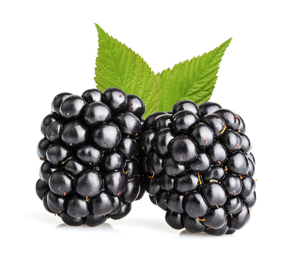 blackberry fruit isolated - Photo, Image