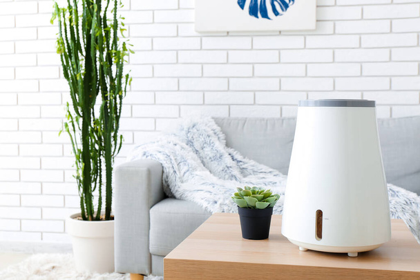 Modern humidifier and houseplant on table in interior of living room - Photo, Image