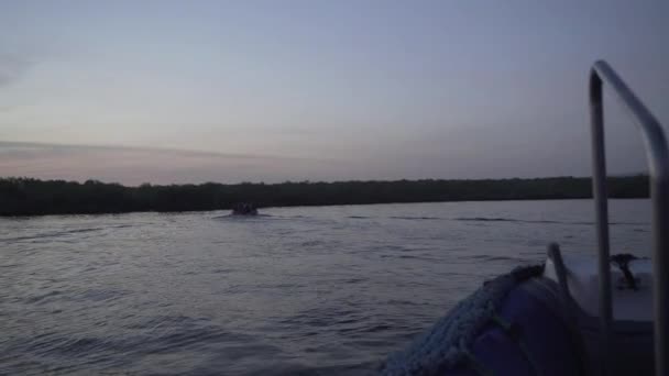 Sabahın erken saatlerinde Galapagos adalarındaki sakin bir mangrov ormanının sularında süzülen küçük şişme bot.. - Video, Çekim