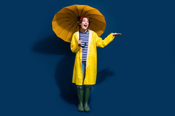 Full body length photo of funky woman red beanie hat palm trying catch drops raining weather hold parasol isolated on blue color background. - Photo, image