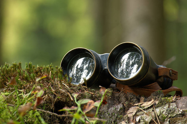 Binoculares retro que descansan sobre un tronco de árbol, lentes que reflejan los árboles circundantes, telón de fondo lleno de entorno forestal, sensación de exploración u observación - Foto, Imagen
