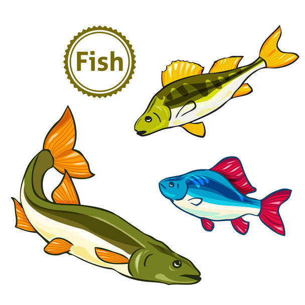 Vector illustration of fishes. - Vector, imagen