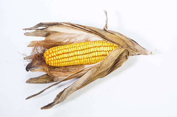 Zralá kukuřice na bílém pozadí - Fotografie, Obrázek