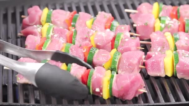 Carne y verduras Kebabs
 - Metraje, vídeo