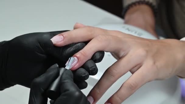 Manicure service. The manicurist paints her nails with a transparent gel polish. Applying nail polish. Well-groomed nails. A manicure master paints the nails of a client in a beauty salon. - Imágenes, Vídeo