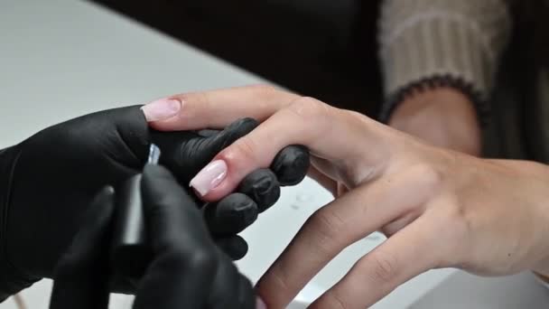 Manicure service. The manicurist paints her nails with a transparent gel polish. Applying nail polish. Well-groomed nails. A manicure master paints the nails of a client in a beauty salon. - Imágenes, Vídeo
