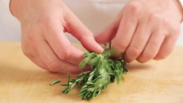 茎から葉ローズマリーを選ぶ - 映像、動画