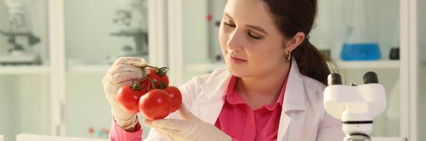 Nainen pitää tuoreita tomaatteja käsissä istuu pöydässä lähellä lasiesineet nesteellä ja mikroskoopilla. Erikoislääkäri tarkastaa luomuvihannekset laboratoriossa - Valokuva, kuva