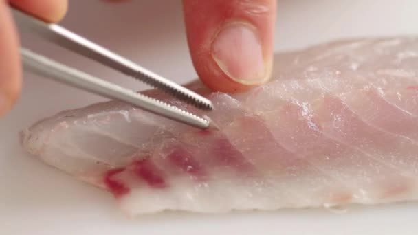 Removing bones from sea bass - Footage, Video