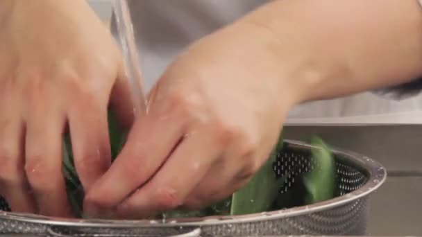 ラムソン葉水洗い - 映像、動画