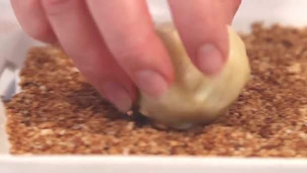 Leivänmuruissa valssattu nuppineula
 - Materiaali, video