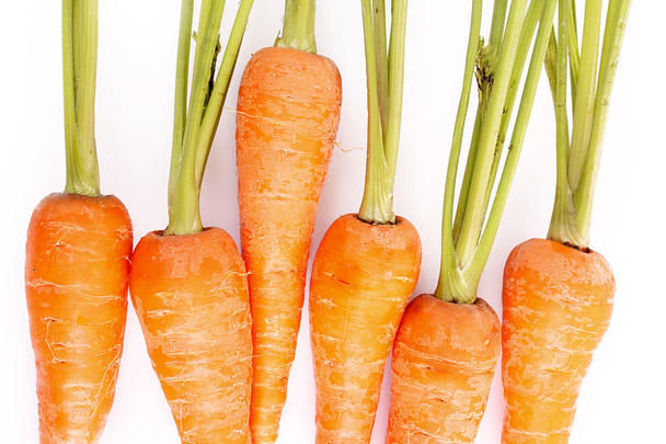 Carrots isolated on white - 写真・画像