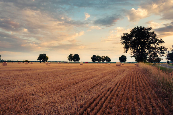 Prato di fieno in campagna d'estate al tramonto, Ungheria, Europa - Foto, immagini
