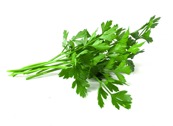 A bunch of parsley on a white background. Fresh fragrant herbs for cooking - Photo, Image