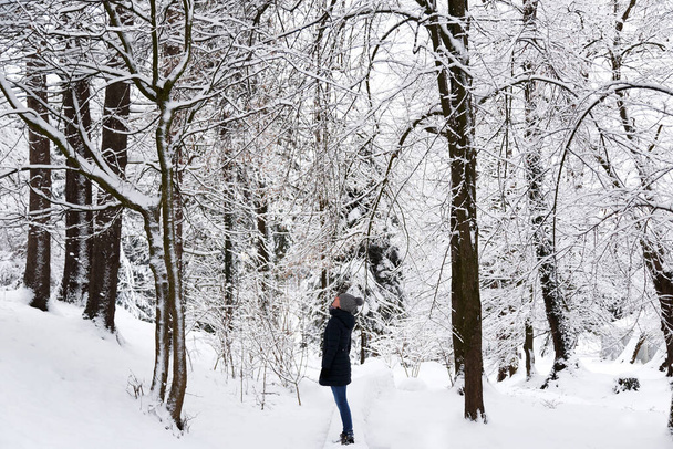 Mujer joven en el parque de invierno cubierto de nieve, bosque. Invierno nevado. Mindfulness y concepto de momento presente. Amor concepto de naturaleza - Foto, Imagen
