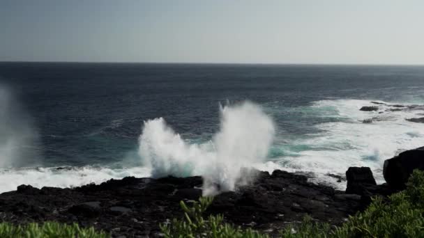 woda morska Pacyfiku wciśnięta przez otwór i emitująca słoną wodę na skalistej plaży lawy na wyspach Galapagos. - Materiał filmowy, wideo