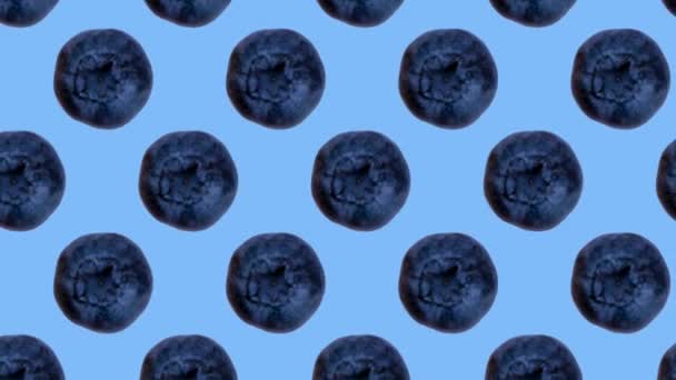 トレンディーなアニメーションや背景や食べ物のパターン青い背景にブルーベリーを振る多くの果物。高品質4k映像 - 映像、動画